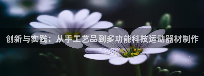 凯捷体育官方客服电话：创新与实践：从手工艺品到多功能