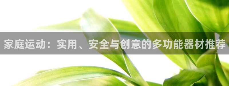 凯捷体育平台是正规平台吗安全吗：家庭运动：实用、安全