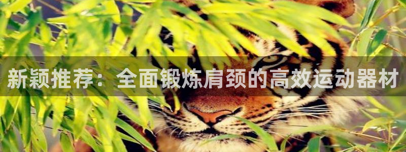 凯捷体育软件：新颖推荐：全面锻炼肩颈的高效运动器材