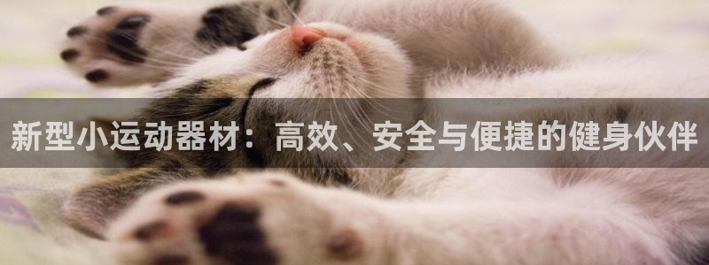 凯捷体育平台是正规平台吗安全吗：新型小运动器材：高效