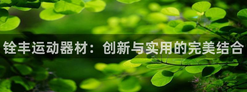 凯捷体育：铨丰运动器材：创新与实用的完美结合