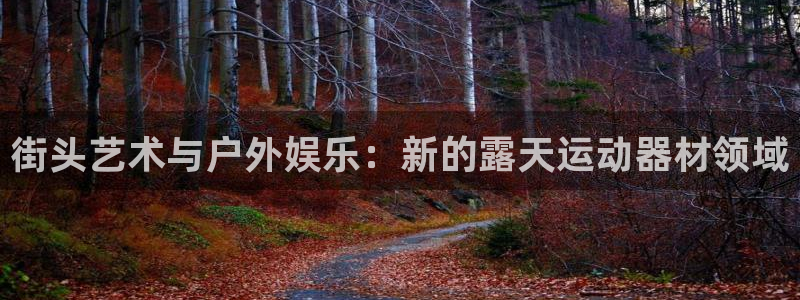 凯捷体育集团logo：街头艺术与户外娱乐：新的露天运