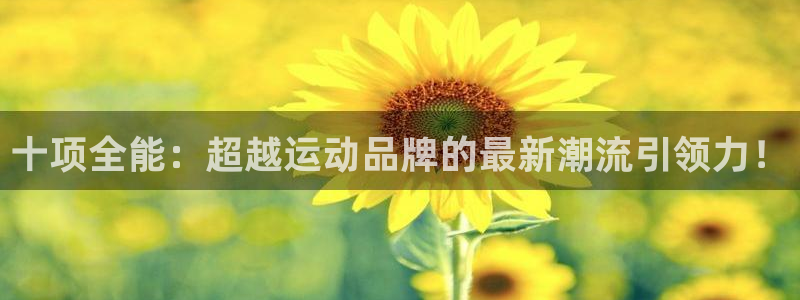 凯捷体育娱乐首页官网下载：十项全能：超越运动品牌的最