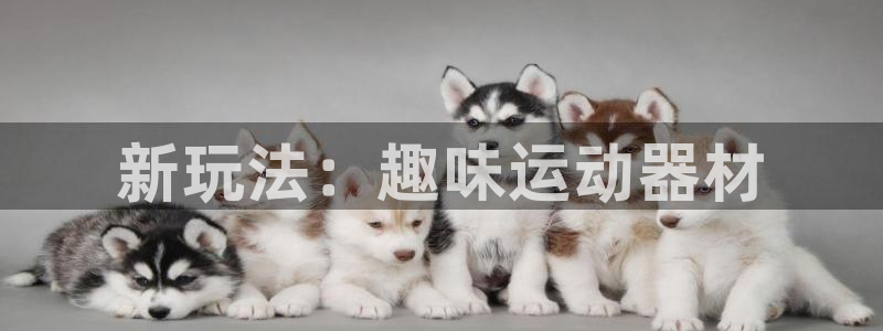凯捷体育招商电话号码查询：新玩法：趣味运动器材