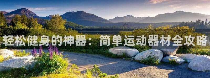 凯捷体育注册：轻松健身的神器：简单运动器材全攻略