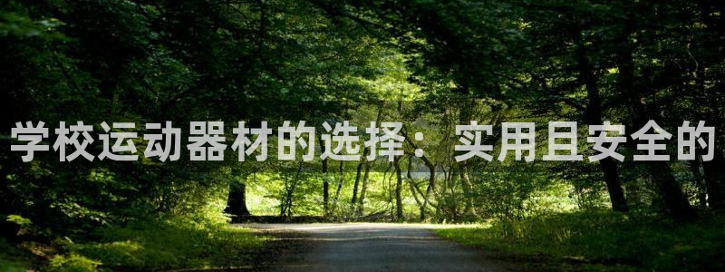 凯捷体育平台注册流程视频：学校运动器材的选择：实用且