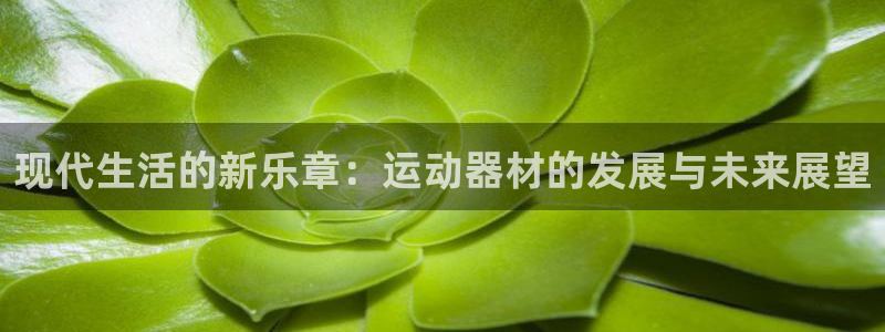 德国凯捷体育集团：现代生活的新乐章：运动器材的发展与