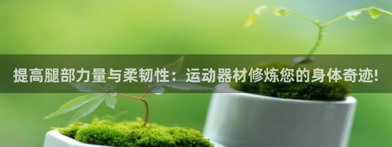 凯捷体育娱乐网站：提高腿部力量与柔韧性：运动器材修炼
