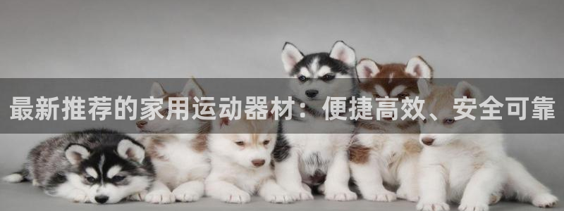 凯捷体育娱乐下载：最新推荐的家用运动器材：便捷高效、安全可靠