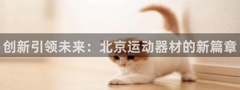 凯捷体育平台注册流程图：创新引领未来：北京运动器材的