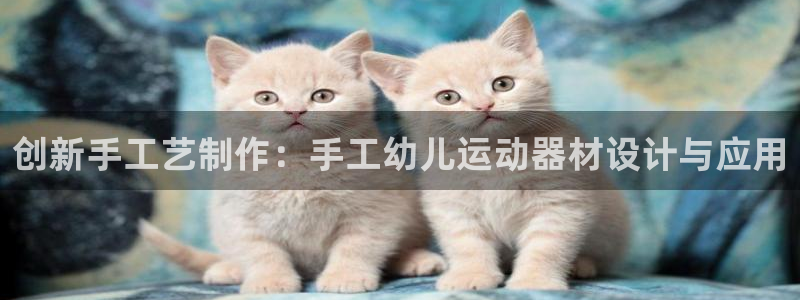 凯捷体育平台注册要钱吗：创新手工艺制作：手工幼儿运动器材设计
