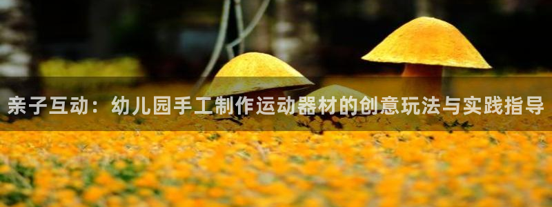 凯捷体育招商电话号码是多少啊：亲子互动：幼儿园手工制作运动器
