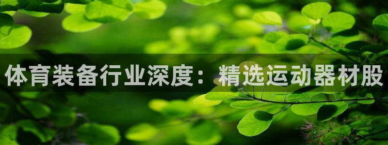 凯捷体育娱乐网站