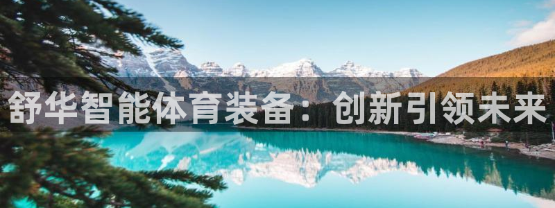 凯捷体育娱乐代理怎么样：舒华智能体育装备：创新引领未