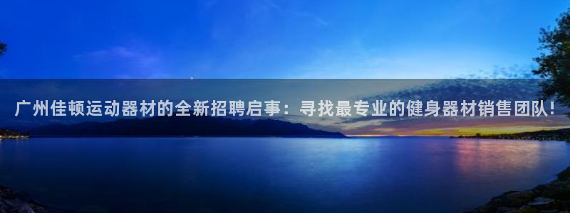 凯捷体育集团简介