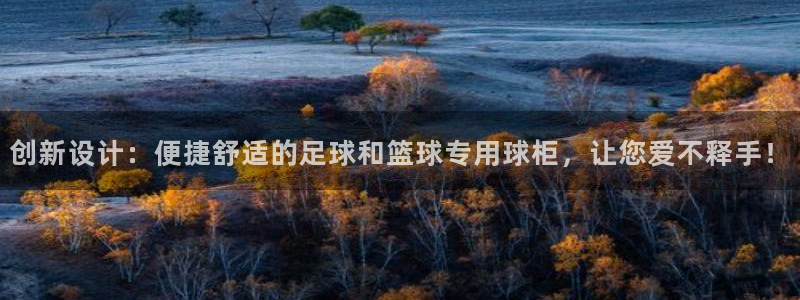 注册凯捷体育：创新设计：便捷舒适的足球和篮球专用球柜，让您爱