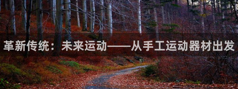 凯捷体育平台注册流程图：革新传统：未来运动——从手工运动器材