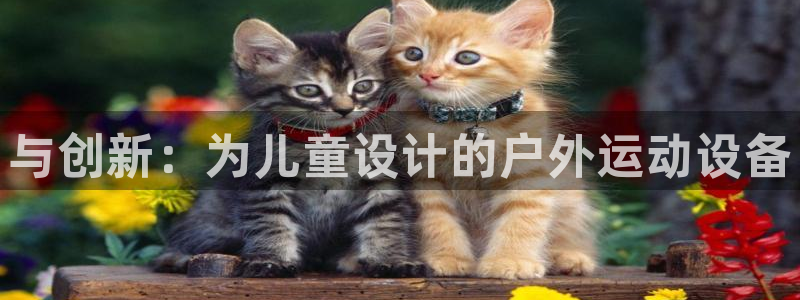 凯捷体育是干嘛的公司：与创新：为儿童设计的户外运动设