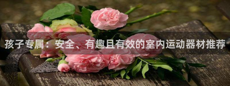 意昂平台体育：孩子专属：安全、有趣且有效的室内运动器