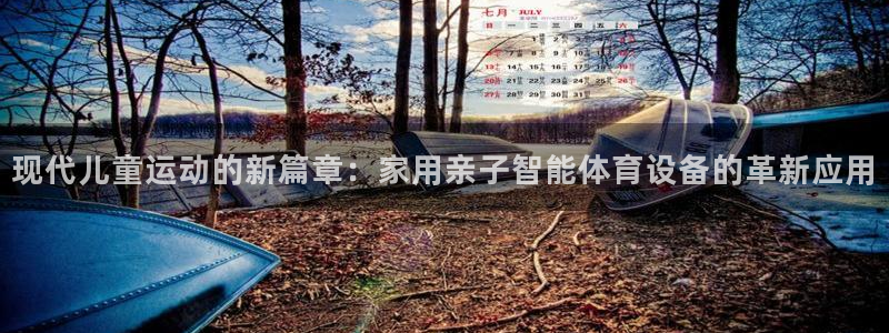 凯捷体育娱乐平台：现代儿童运动的新篇章：家用亲子智能体育设备