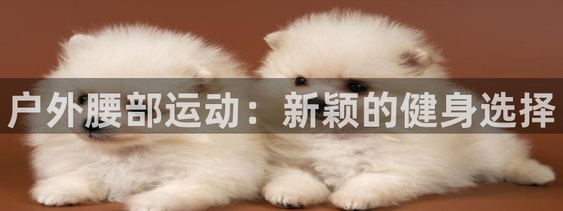 凯捷体育娱乐代理怎么样