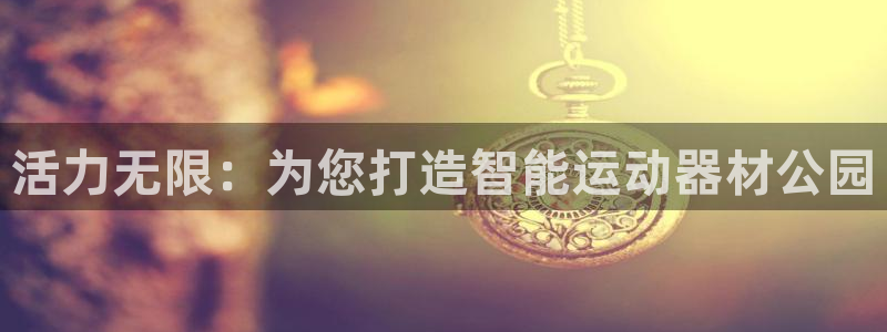 凯捷体育是干嘛的公司：活力无限：为您打造智能运动器材公园