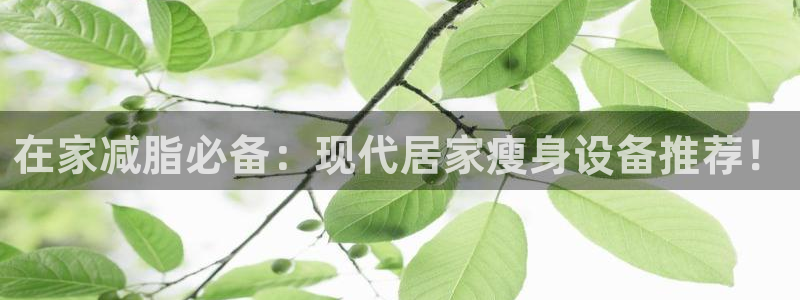 凯捷体育神州：在家减脂必备：现代居家瘦身设备推荐！