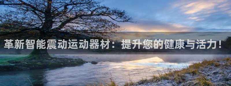 凯捷体育官方客服电话：革新智能震动运动器材：提升您的