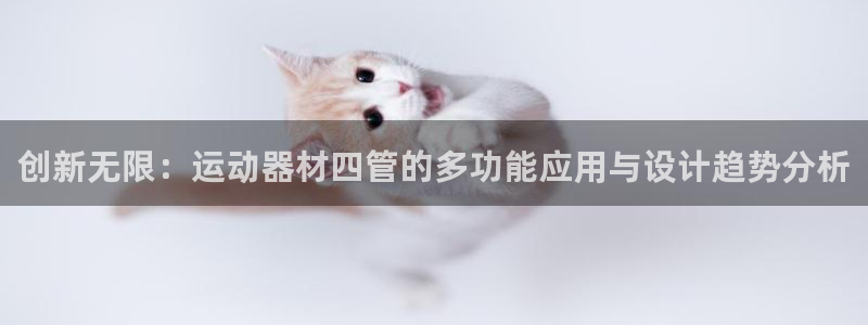 凯捷体育集团官网网址