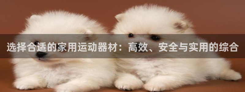 凯捷体育娱乐：选择合适的家用运动器材：高效、安全与实