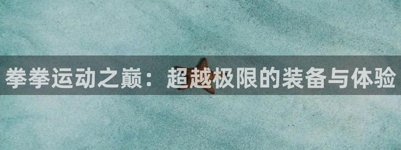 凯捷体育娱乐代理怎么样：拳拳运动之巅：超越极限的装备与体验