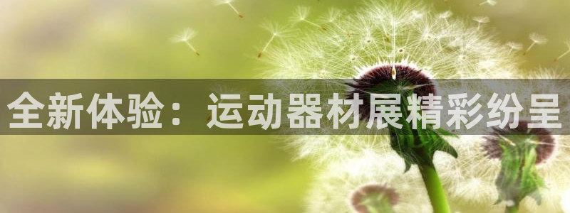 凯捷体育是干嘛的公司：全新体验：运动器材展精彩纷呈