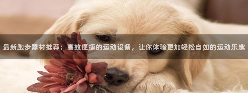 凯捷体育招商电话号码是多少号：最新跑步器材推荐：高效