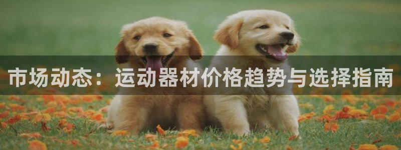 凯捷体育招商电话是多少啊：市场动态：运动器材价格趋势与选择指
