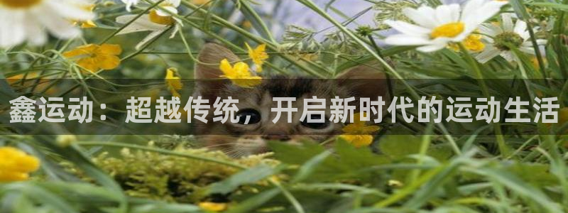 凯捷体育招商电话号码：鑫运动：超越传统，开启新时代的运动生活