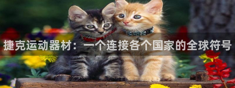 凯捷体育娱乐：捷克运动器材：一个连接各个国家的全球符