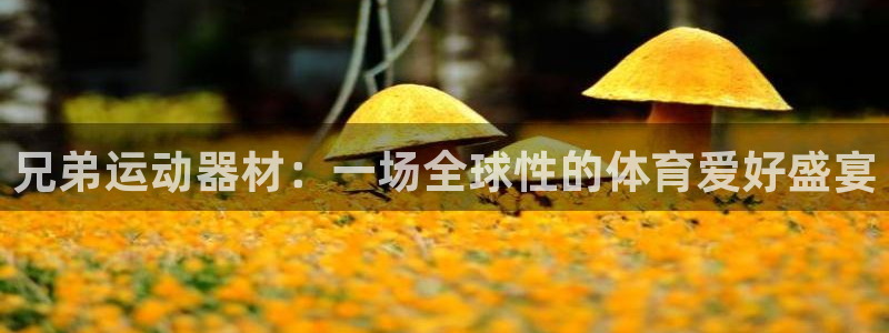 凯捷体育娱乐40996：兄弟运动器材：一场全球性的体