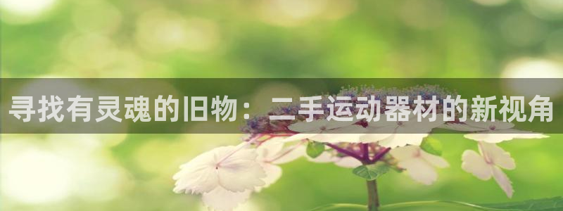 凯捷体育娱乐代理怎么样：寻找有灵魂的旧物：二手运动器