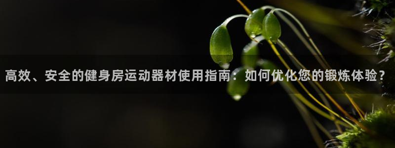 凯捷体育招商电话号码是多少：高效、安全的健身房运动器