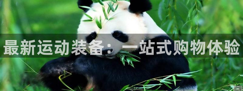 凯捷体育娱乐下载：最新运动装备：一站式购物体验