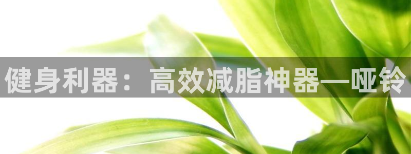 凯捷体育招商电话号码查询是多少：健身利器：高效减脂神