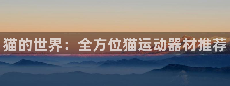 凯捷体育娱乐：猫的世界：全方位猫运动器材推荐