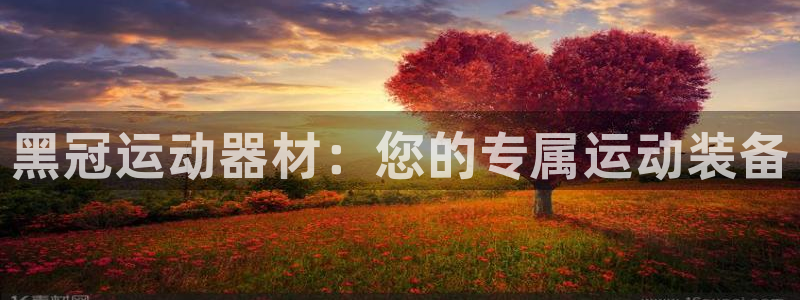 德国凯捷体育集团：黑冠运动器材：您的专属运动装备