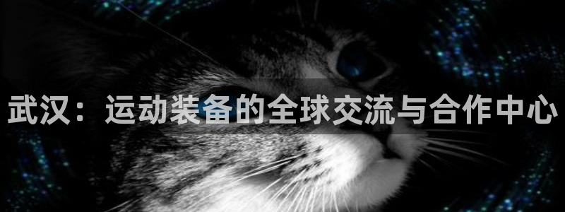 凯捷体育开户：武汉：运动装备的全球交流与合作中心