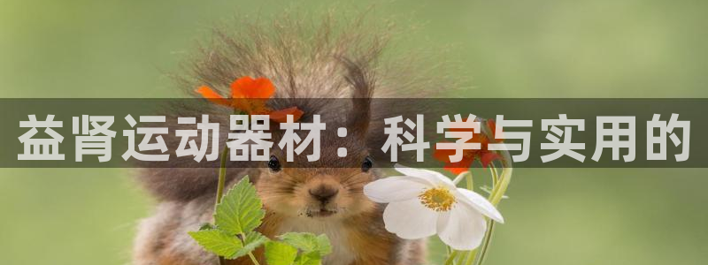 凯捷体育娱乐网站：益肾运动器材：科学与实用的