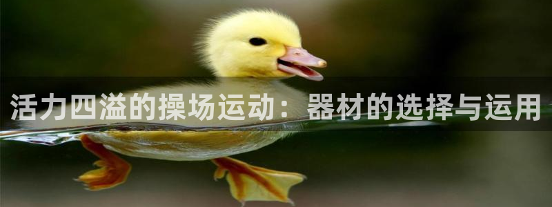 凯捷体育娱乐首页官网下载：活力四溢的操场运动：器材的选择与运