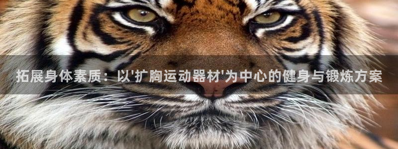 凯捷体育平台注册要钱吗是真的吗：拓展身体素质：以\'