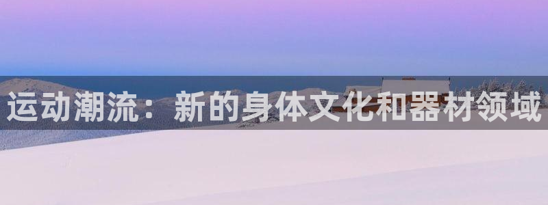 凯捷体育官方：运动潮流：新的身体文化和器材领域