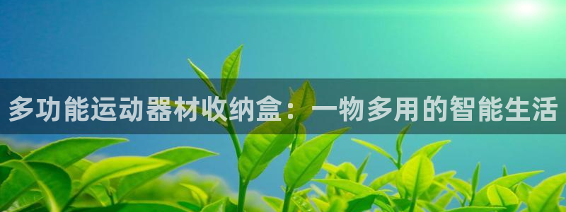 凯捷体育平台注册要钱吗安全吗：多功能运动器材收纳盒：