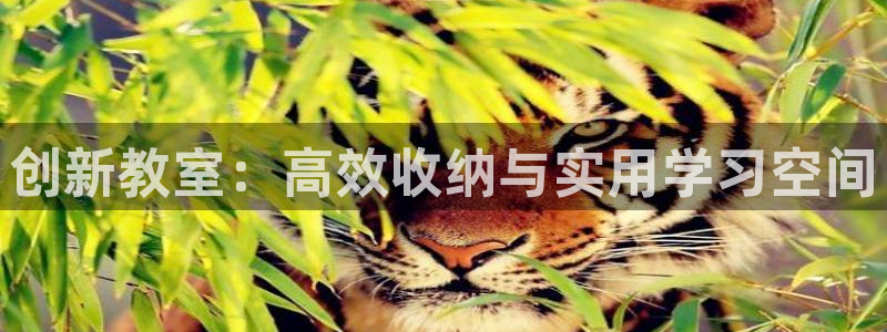 凯捷体育招商电话号码查询是多少：创新教室：高效收纳与实用学习